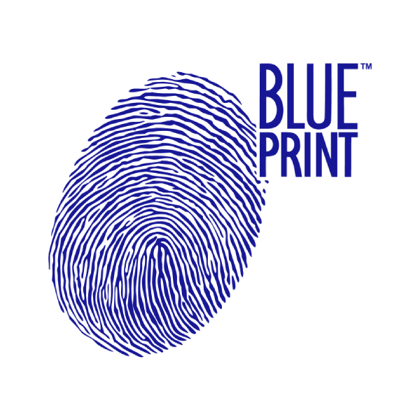 Blue Print